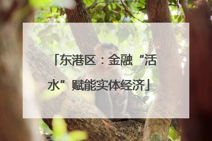 东港区：金融“活水”赋能实体经济