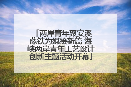 两岸青年聚安溪 藤铁为媒绘新篇 海峡两岸青年工艺设计创新主题活动开幕