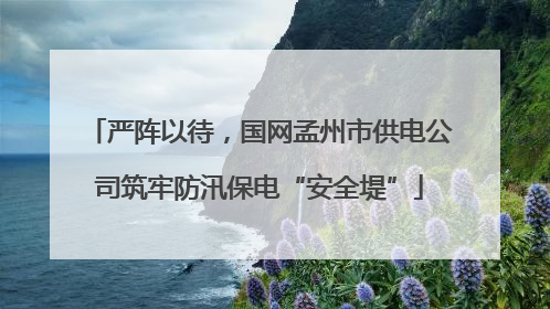 严阵以待，国网孟州市供电公司筑牢防汛保电“安全堤”