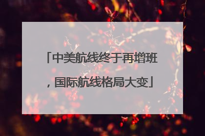 中美航线终于再增班，国际航线格局大变