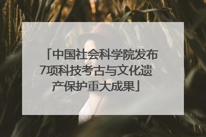 中国社会科学院发布7项科技考古与文化遗产保护重大成果