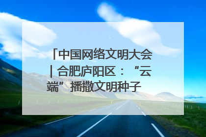 中国网络文明大会｜合肥庐阳区：“云端”播撒文明种子 共建清朗网络空间