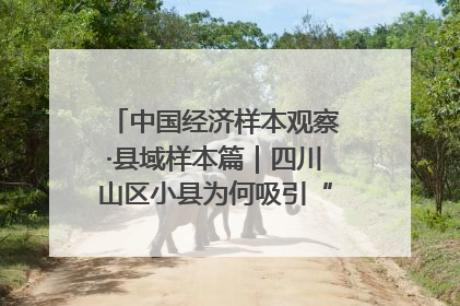 中国经济样本观察·县域样本篇｜四川山区小县为何吸引“村播”扎堆？