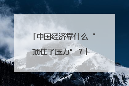 中国经济靠什么“顶住了压力”？