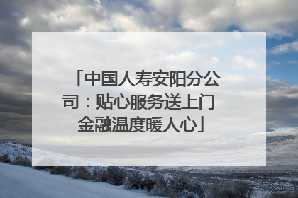 中国人寿安阳分公司：贴心服务送上门 金融温度暖人心