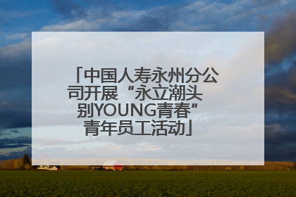 中国人寿永州分公司开展“永立潮头 别YOUNG青春”青年员工活动