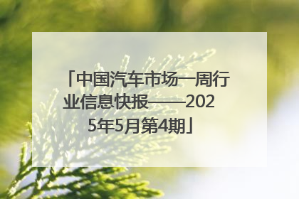 中国汽车市场一周行业信息快报——2025年5月第4期