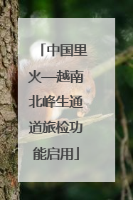 中国里火—越南北峰生通道旅检功能启用