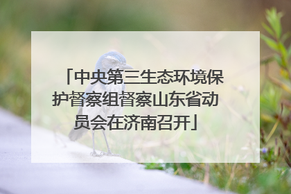 中央第三生态环境保护督察组督察山东省动员会在济南召开