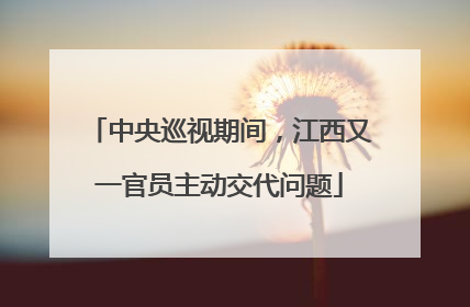 中央巡视期间，江西又一官员主动交代问题