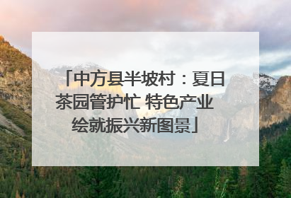 中方县半坡村：夏日茶园管护忙 特色产业绘就振兴新图景
