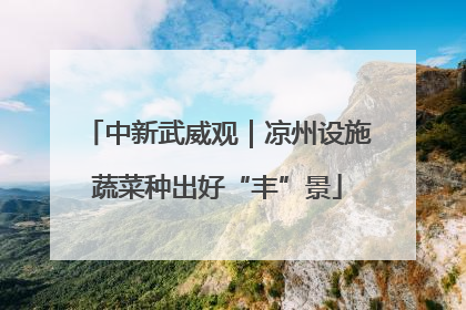 中新武威观｜凉州设施蔬菜种出好“丰”景