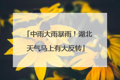 中雨大雨暴雨！湖北天气马上有大反转