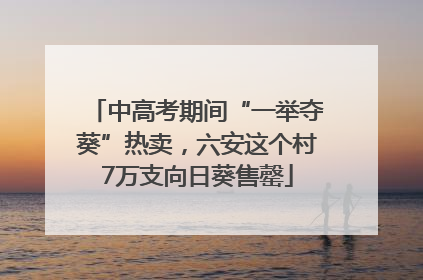 中高考期间“一举夺葵”热卖，六安这个村7万支向日葵售罄