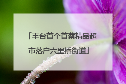 丰台首个首蔡精品超市落户六里桥街道