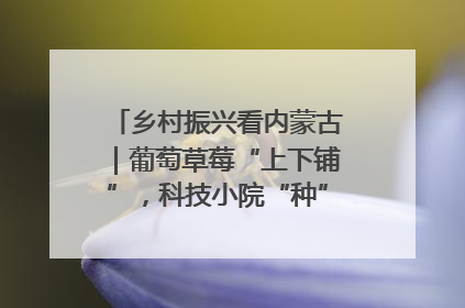 乡村振兴看内蒙古｜葡萄草莓“上下铺”，科技小院“种”出三倍效益