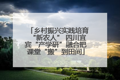 乡村振兴实践培育“新农人” 四川宜宾“产学研”融合把课堂“搬”到田间