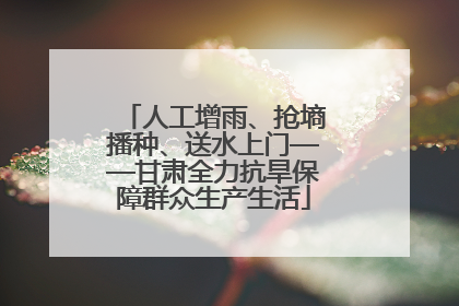 人工增雨、抢墒播种、送水上门——甘肃全力抗旱保障群众生产生活