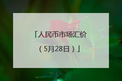 人民币市场汇价（5月28日）