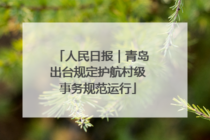 人民日报｜青岛出台规定护航村级事务规范运行