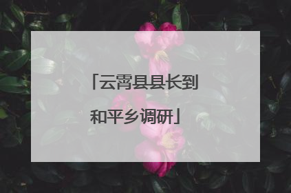 云霄县县长到和平乡调研