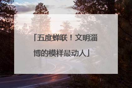 五度蝉联！文明淄博的模样最动人
