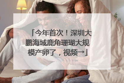 今年首次！深圳大鹏海域鹿角珊瑚大规模产卵了，视频→