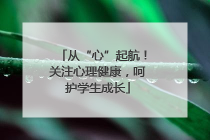 从“心”起航！关注心理健康，呵护学生成长