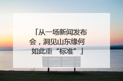 从一场新闻发布会，洞见山东缘何如此重“标准”
