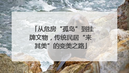从危房“孤岛”到挂牌文物，传统民居“来其美”的变美之路
