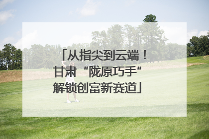 从指尖到云端！甘肃“陇原巧手”解锁创富新赛道
