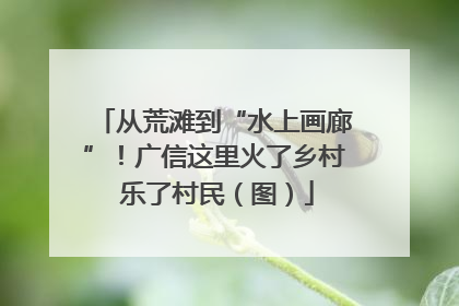 从荒滩到“水上画廊”！广信这里火了乡村 乐了村民（图）