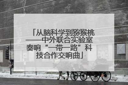 从脑科学到猕猴桃——中外联合实验室奏响“一带一路”科技合作交响曲