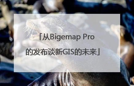 从Bigemap Pro的发布谈新GIS的未来