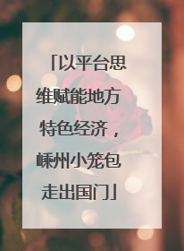 以平台思维赋能地方特色经济，嵊州小笼包走出国门