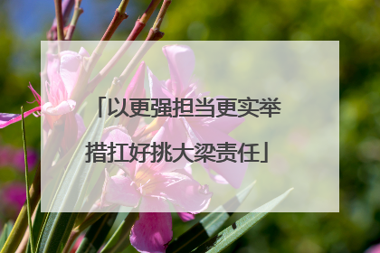 以更强担当更实举措扛好挑大梁责任