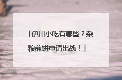 伊川小吃有哪些？杂粮煎饼申请出战！
