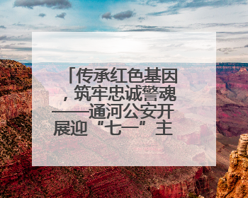 传承红色基因，筑牢忠诚警魂——通河公安开展迎“七一”主题党日活动