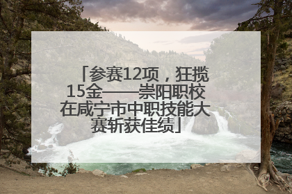 参赛12项，狂揽15金——崇阳职校在咸宁市中职技能大赛斩获佳绩