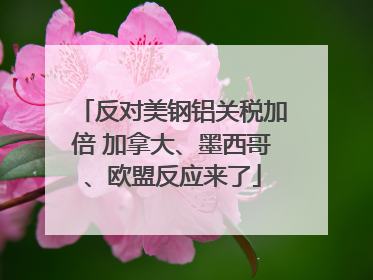 反对美钢铝关税加倍 加拿大、墨西哥、欧盟反应来了