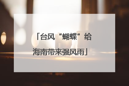 台风“蝴蝶”给海南带来强风雨