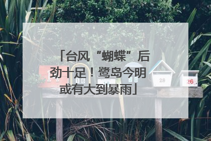 台风“蝴蝶”后劲十足！鹭岛今明或有大到暴雨