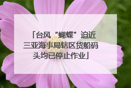 台风“蝴蝶”迫近 三亚海事局辖区货船码头均已停止作业