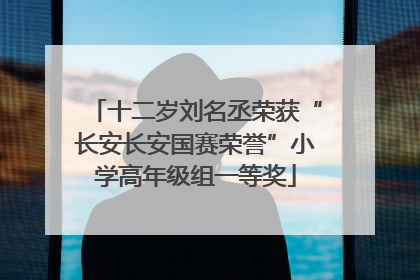 十二岁刘名丞荣获“长安长安国赛荣誉”小学高年级组一等奖