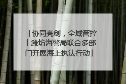 协同亮剑，全域管控丨潍坊海警局联合多部门开展海上执法行动