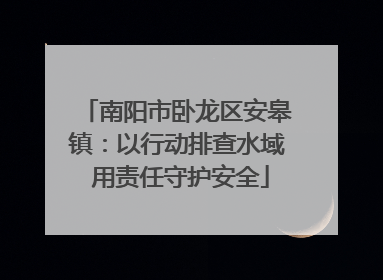 南阳市卧龙区安皋镇：以行动排查水域 用责任守护安全