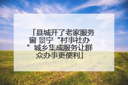 县城开了老家服务窗 景宁“村事社办”城乡集成服务让群众办事更便利