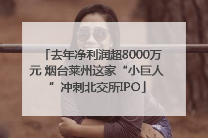 去年净利润超8000万元 烟台莱州这家“小巨人”冲刺北交所IPO