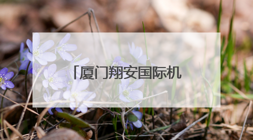 厦门翔安国际机场计划在2025年年底基本建成
