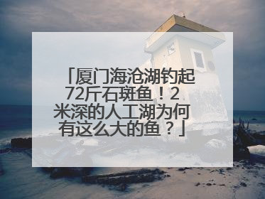 厦门海沧湖钓起72斤石斑鱼！2米深的人工湖为何有这么大的鱼？